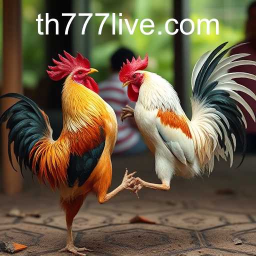 poker heads-up um contra um